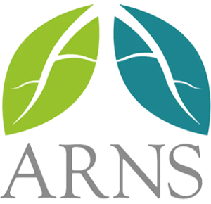 ARNS Logo