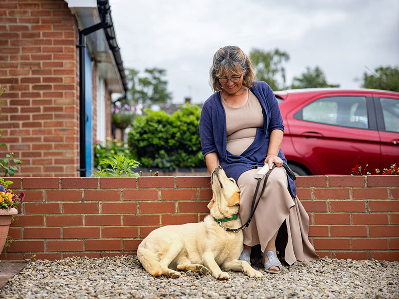Woman petting dog sitting on wall